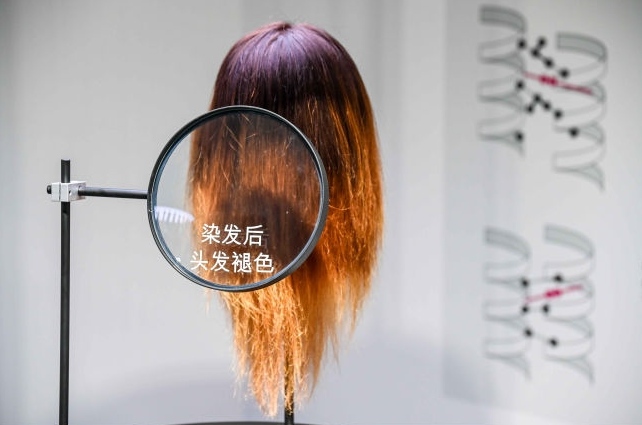 模拟四大头发问题，头发油腻扁塌、染发后头发褪色、断发式脱发以及干枯砂发