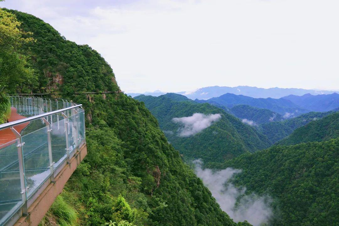 奇山秀水东江源头春季三百山持卡旅游攻略来啦