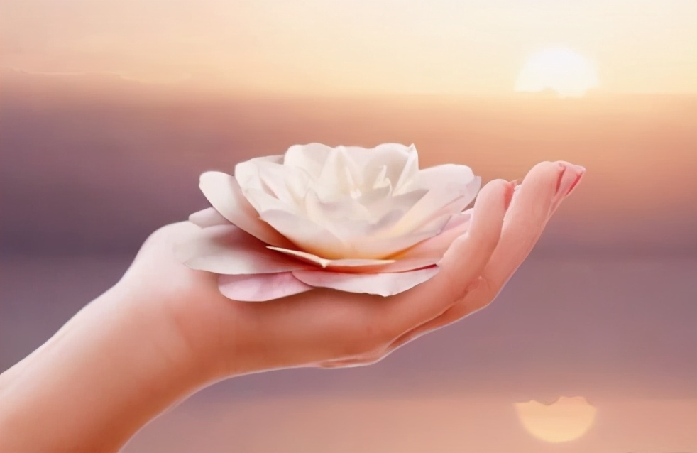 《次第花开》:人在不顺时,领悟到这几点,人生豁然开朗