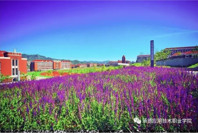 2022年承德应用技术学院校园环境