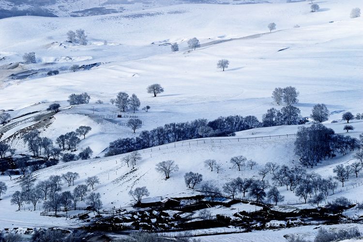 冬季坝上草原银装素裹,一片塞外冰雪世界