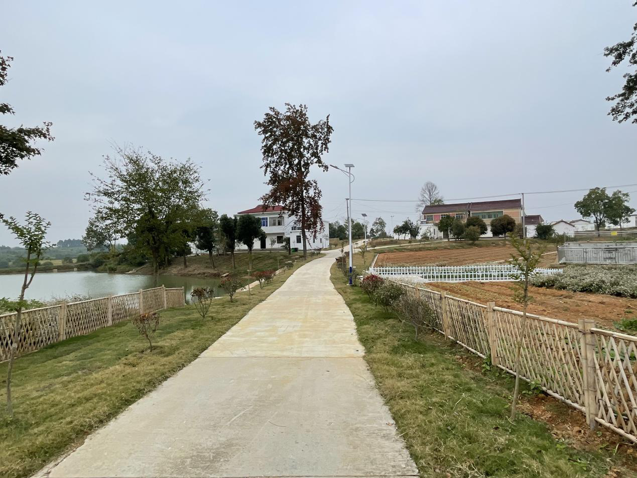 怀宁县三桥镇:美丽乡村留乡愁 乡村振兴绘新卷