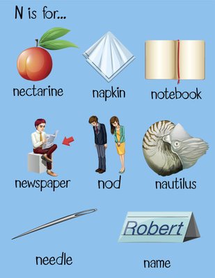 n开头的单词有哪些