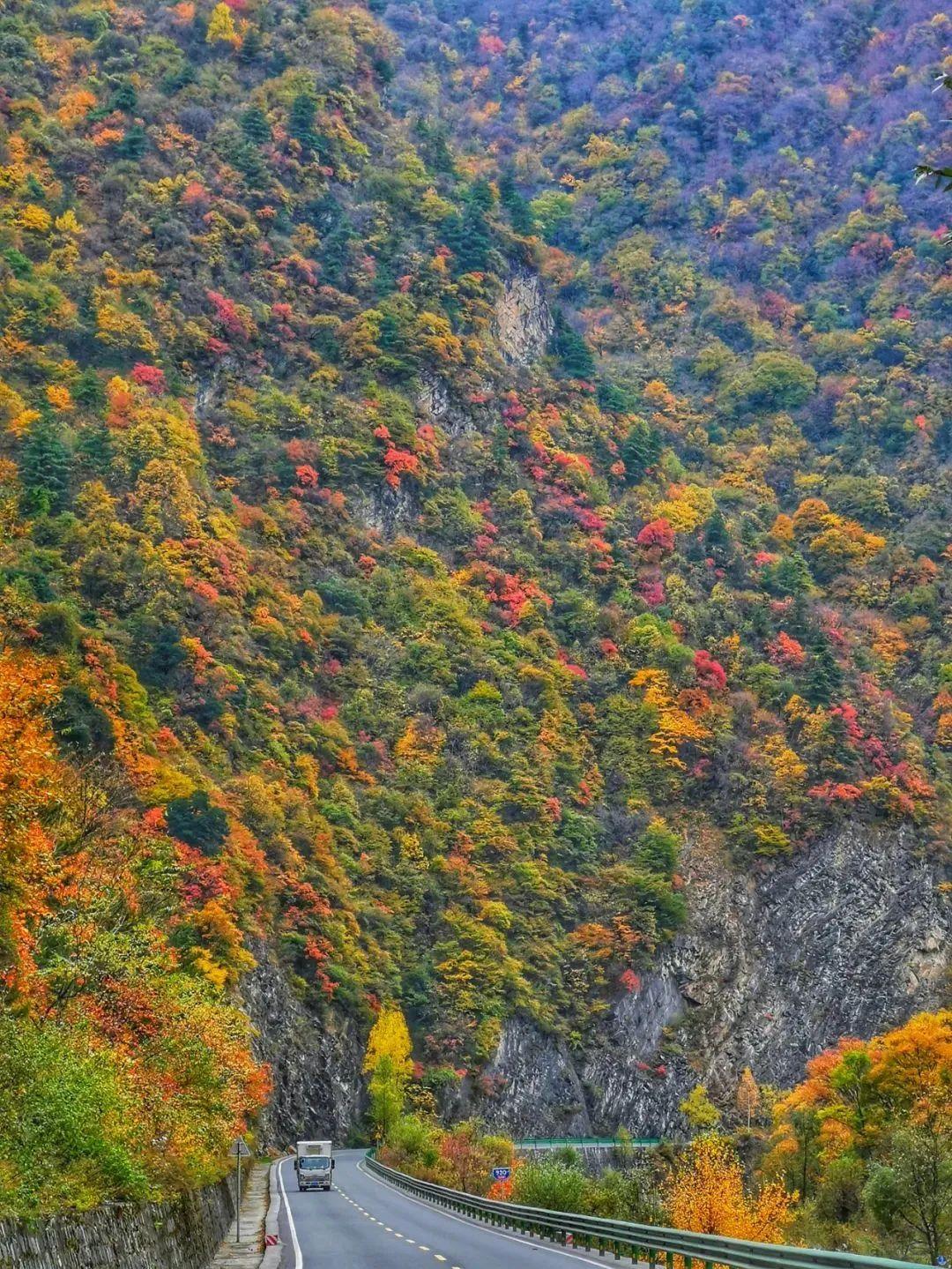龙脉秦岭的十大震撼秋景之首,凭什么是陕西的这座县城?