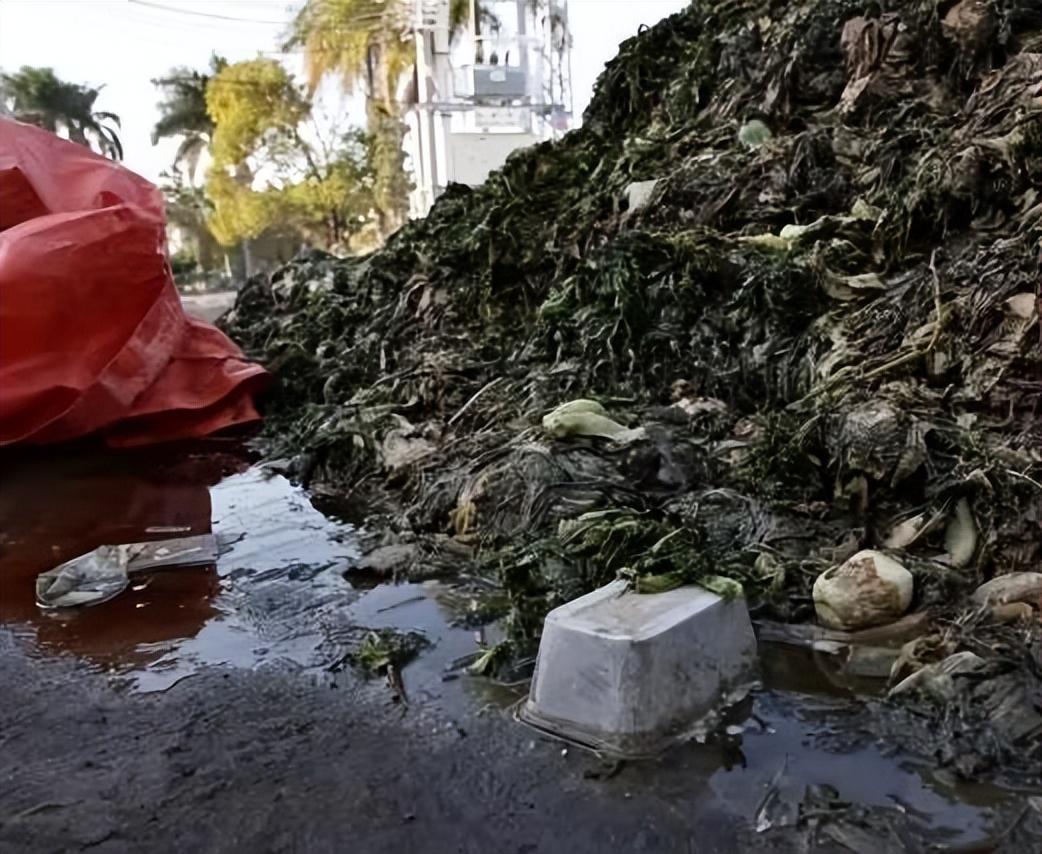 "纸壳馅包子"事件反转,网友却不买账,食品安全水太深!