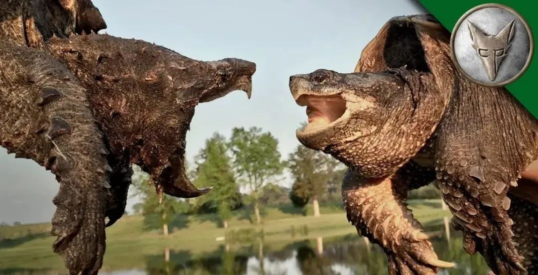 38张对比照片展示同一事物惊人的变化