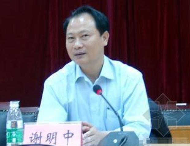 2007年海南贪官谢明中案:安排女老师当公务员,受贿千万被判死缓