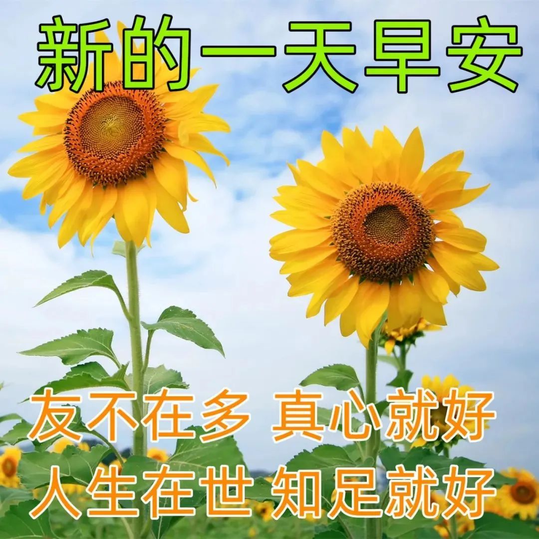 週二最美早晨好圖片帶字溫馨 2023最新群發早上好表情圖片