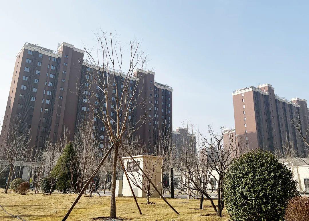 3976套!顺义仁和镇临河村回迁安置房项目选房工作启动