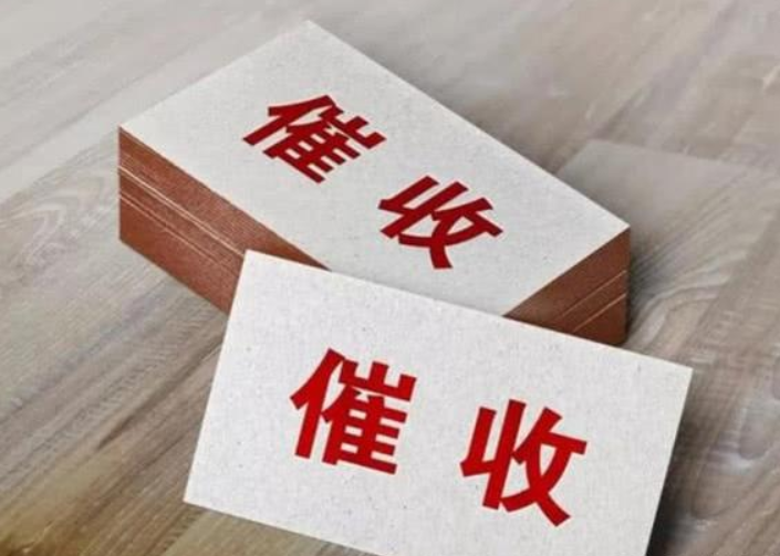 合肥90后"黑老大"杨春燕:淑女外表暗藏毒辣,被捕时还在读硕士