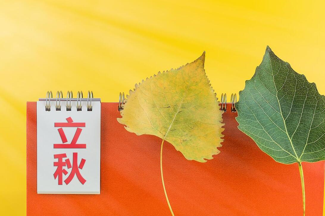 2023年哪天立秋?是公秋还是母秋?早了解