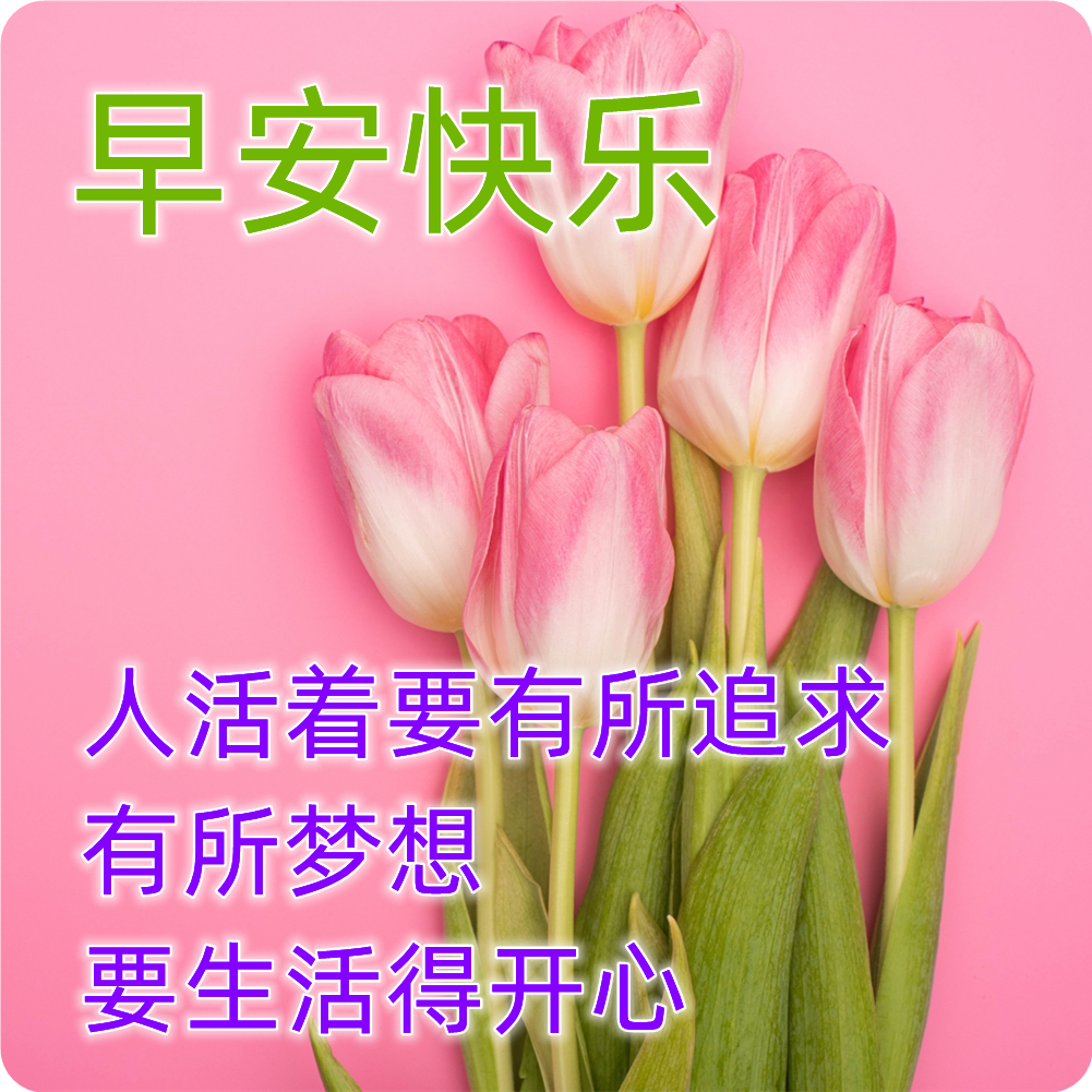 早安漂亮表情祝福语图片 早上好暖心祝福语图片大全