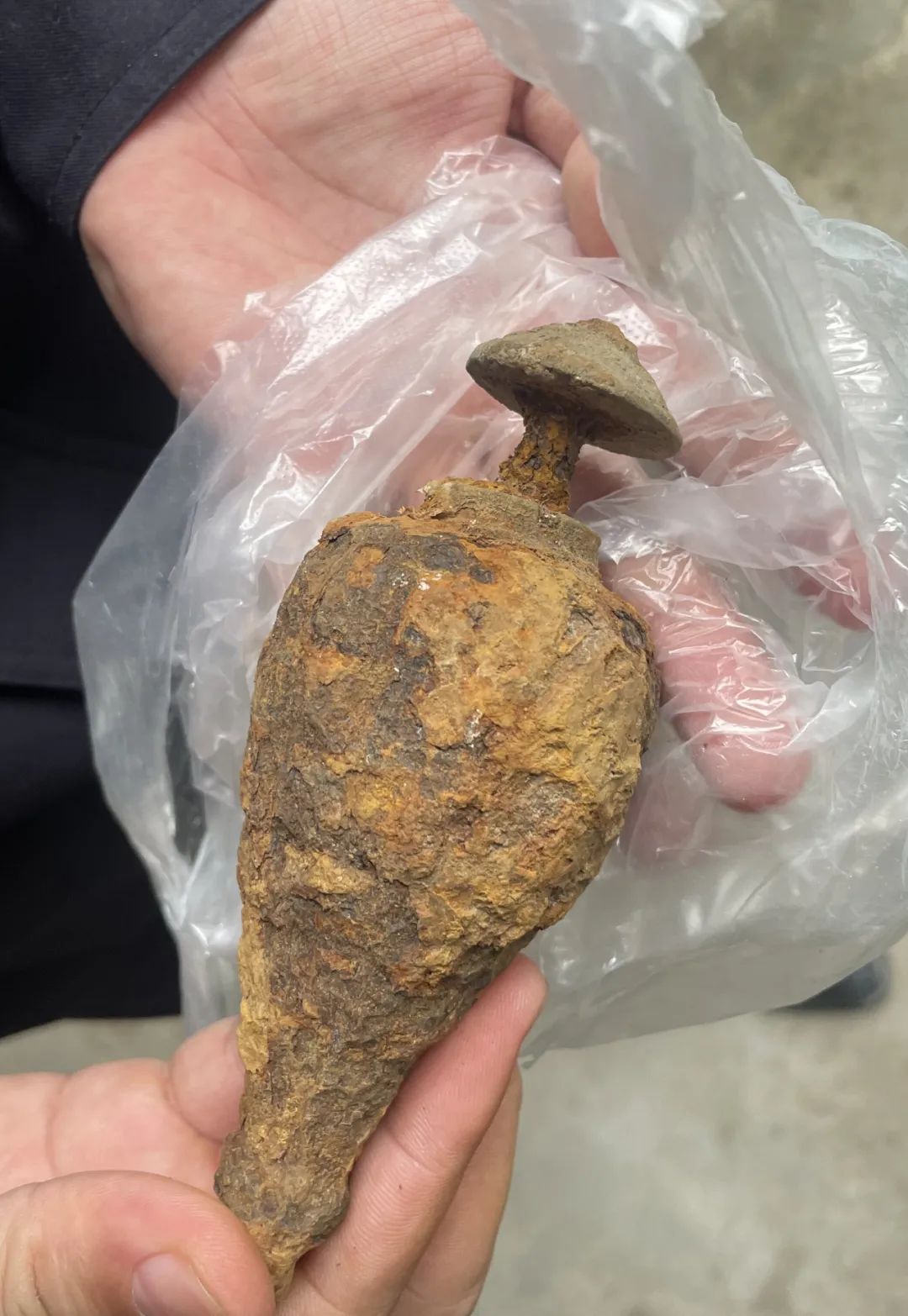 谢集大娘锄地挖出宝贝疙瘩儿子发现慌张报警