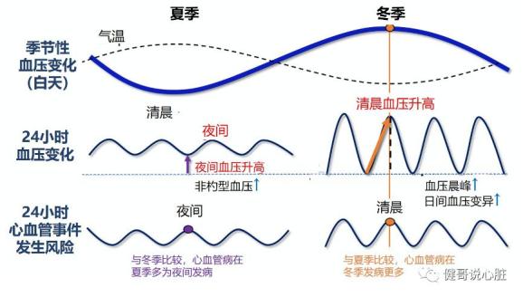 冬季如何管好高血压