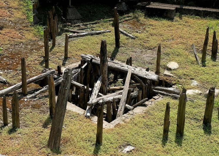 6000多年前的遗址中,出土"12吨稻米",够"河姆渡人"吃好几年