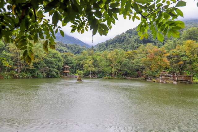 河源野趣沟,山间的天然大氧吧,体验山泉足浴游