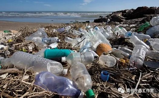 瓶装水背后的浪费与污染