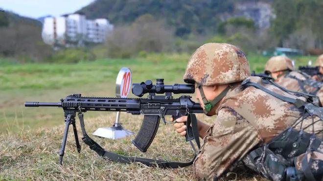 中国精准射手步枪来袭,191精准步枪上岗,一枪多用由此实现