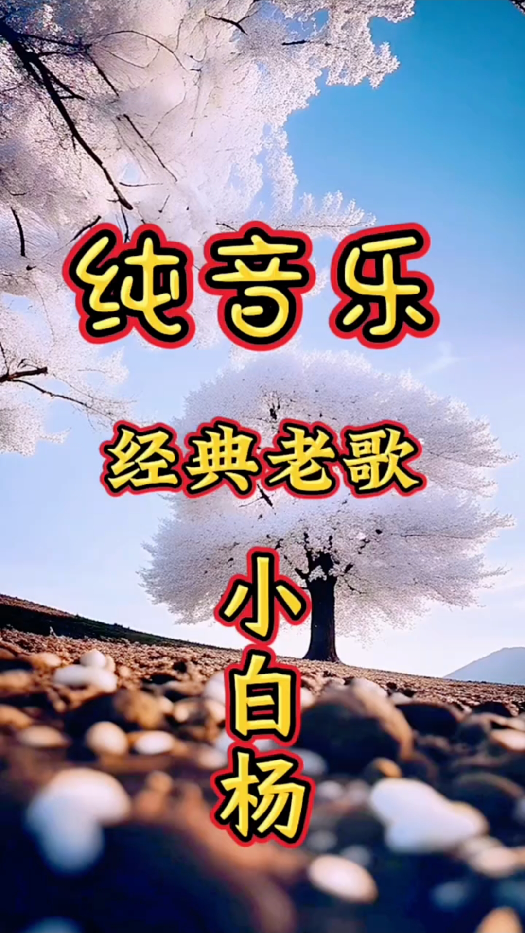 纯音乐经典老歌小白杨悦耳动听治愈心情