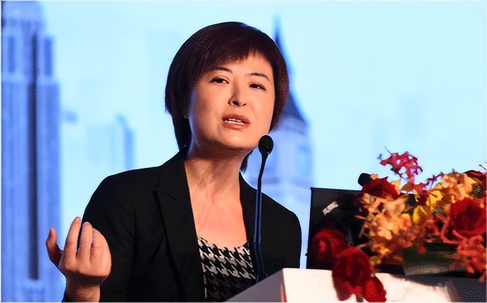 事业正当红时张泉灵从央视离职,靠一本漫画书华丽转身成投资人