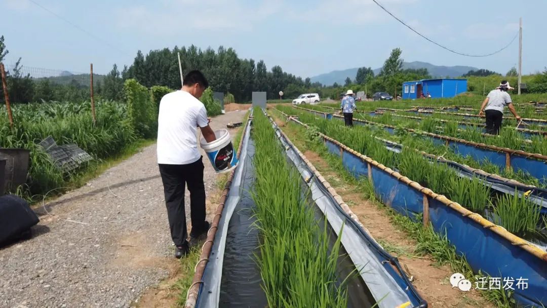 河北遷西 : 立體養殖 