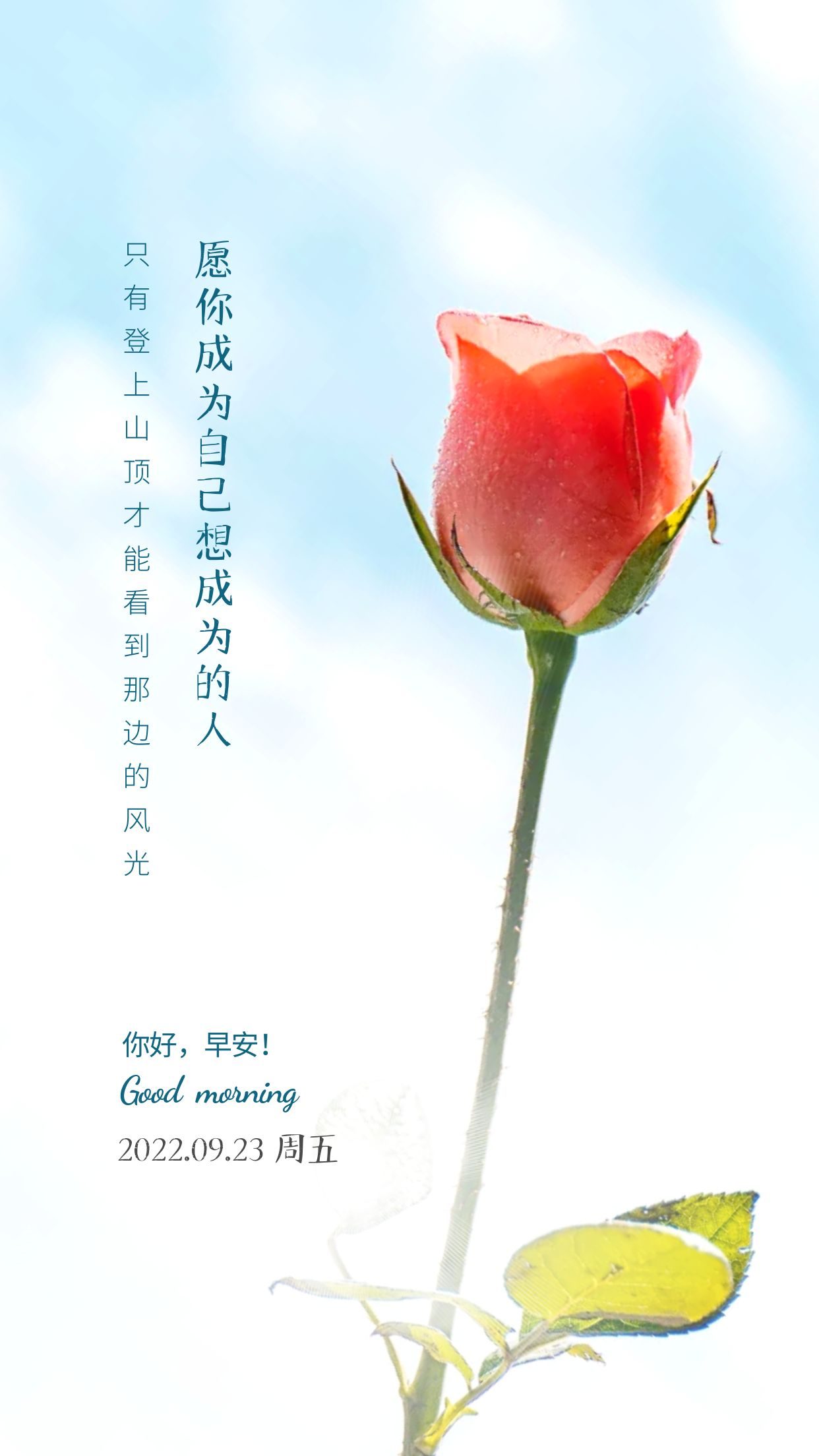 早安心语文案正能量图片:用自己的光,照亮自己的路!