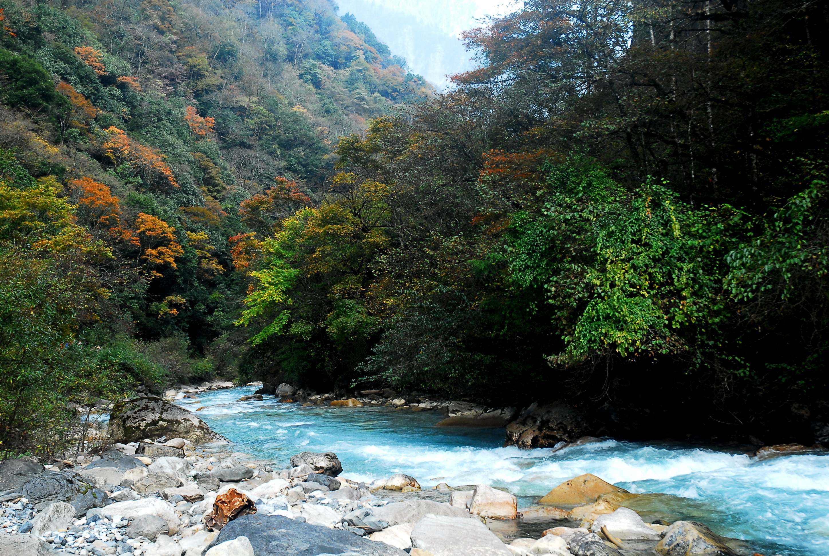 四川有个冷门峡谷,是川西峡谷代表之一,却少有人知道