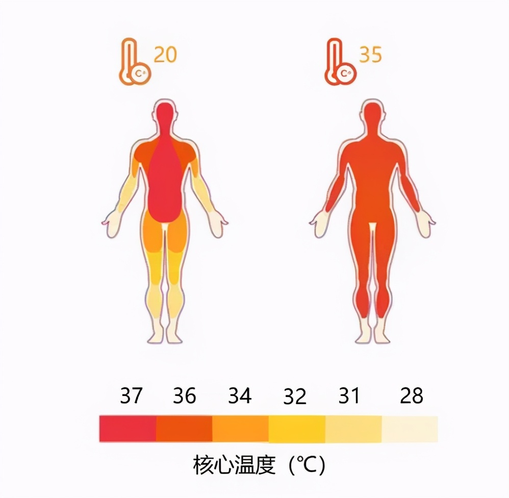 你为什么晚上失眠