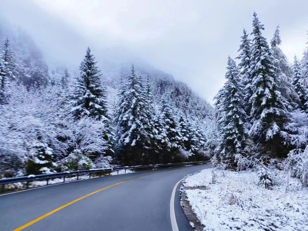 成都下雪照片图片