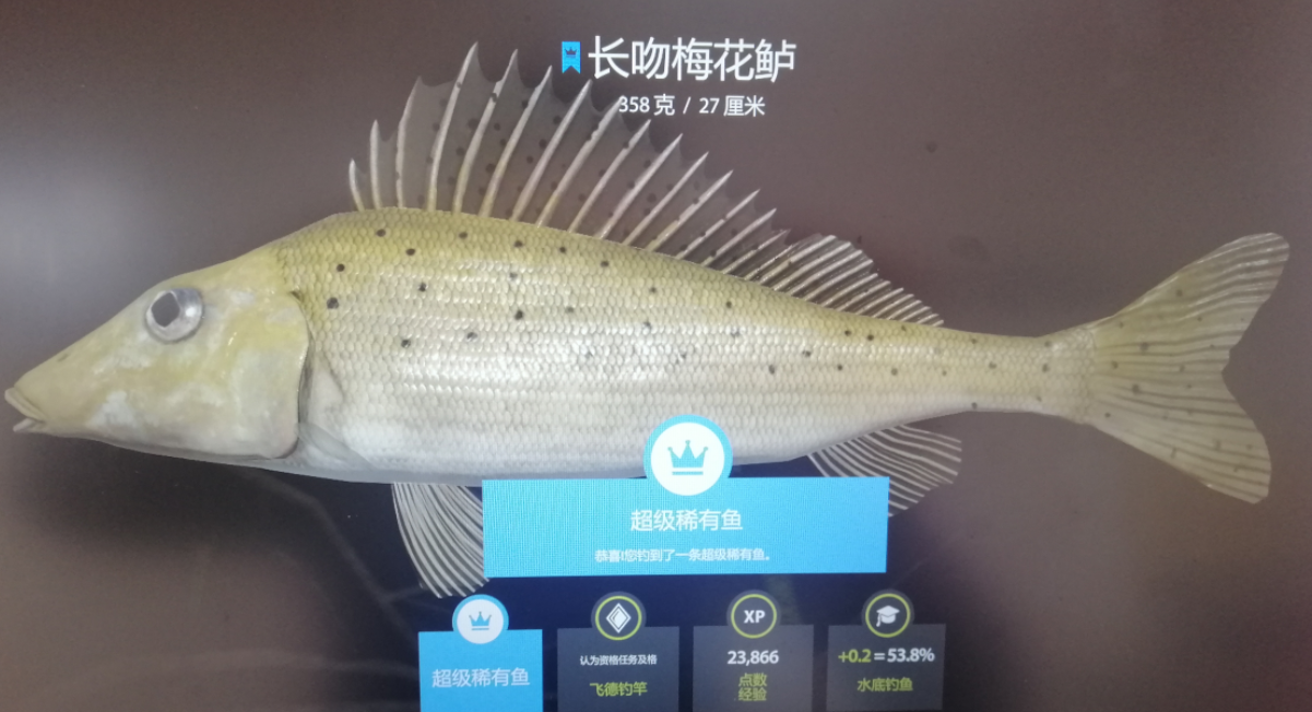 2-26|22图 蚯蚓上蓝冠长吻梅花鲈