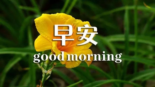 早安祝福语2021最新 早安祝福语最温馨的话