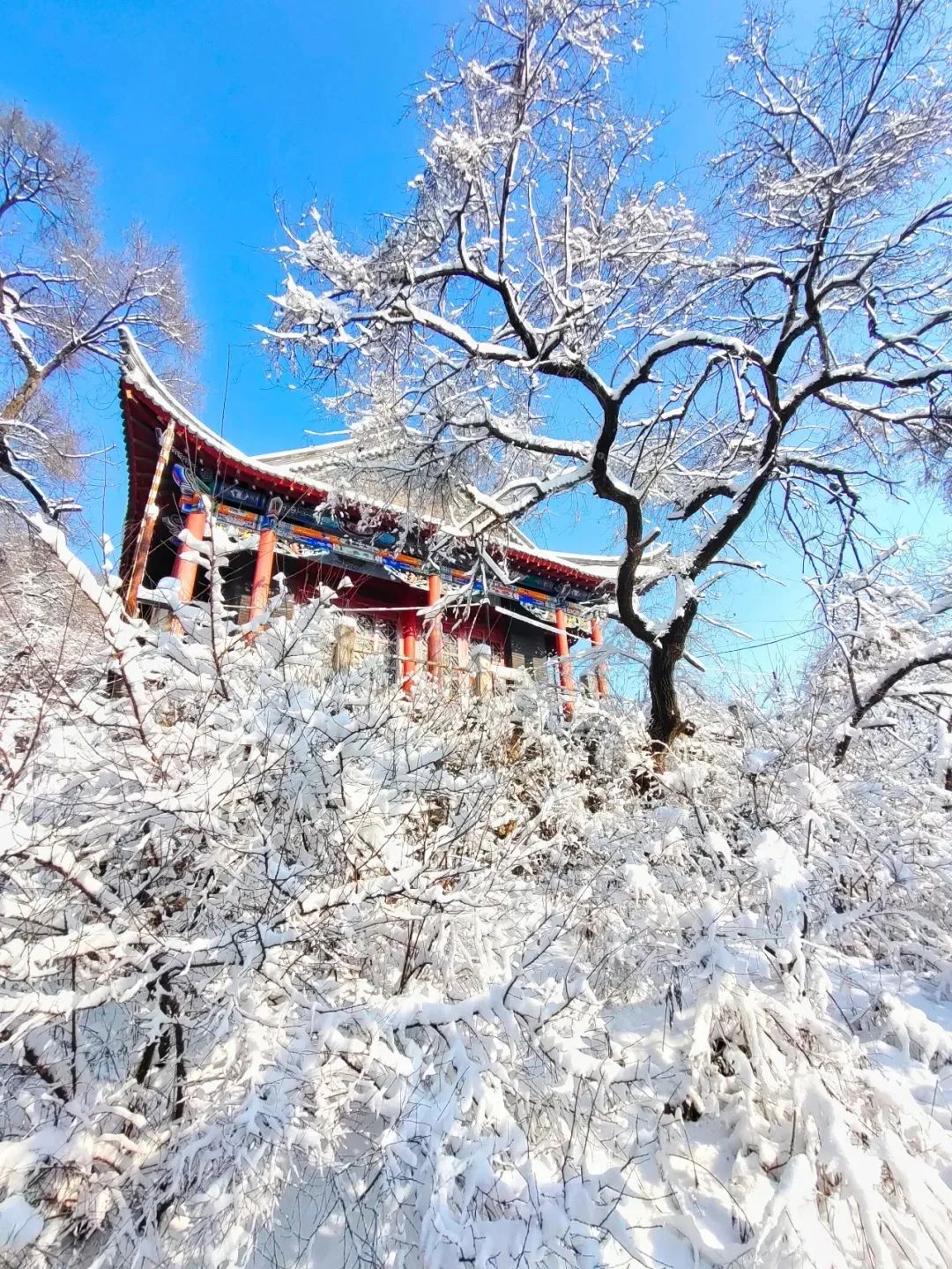 吉林市的粉雪,极致的冬日浪漫