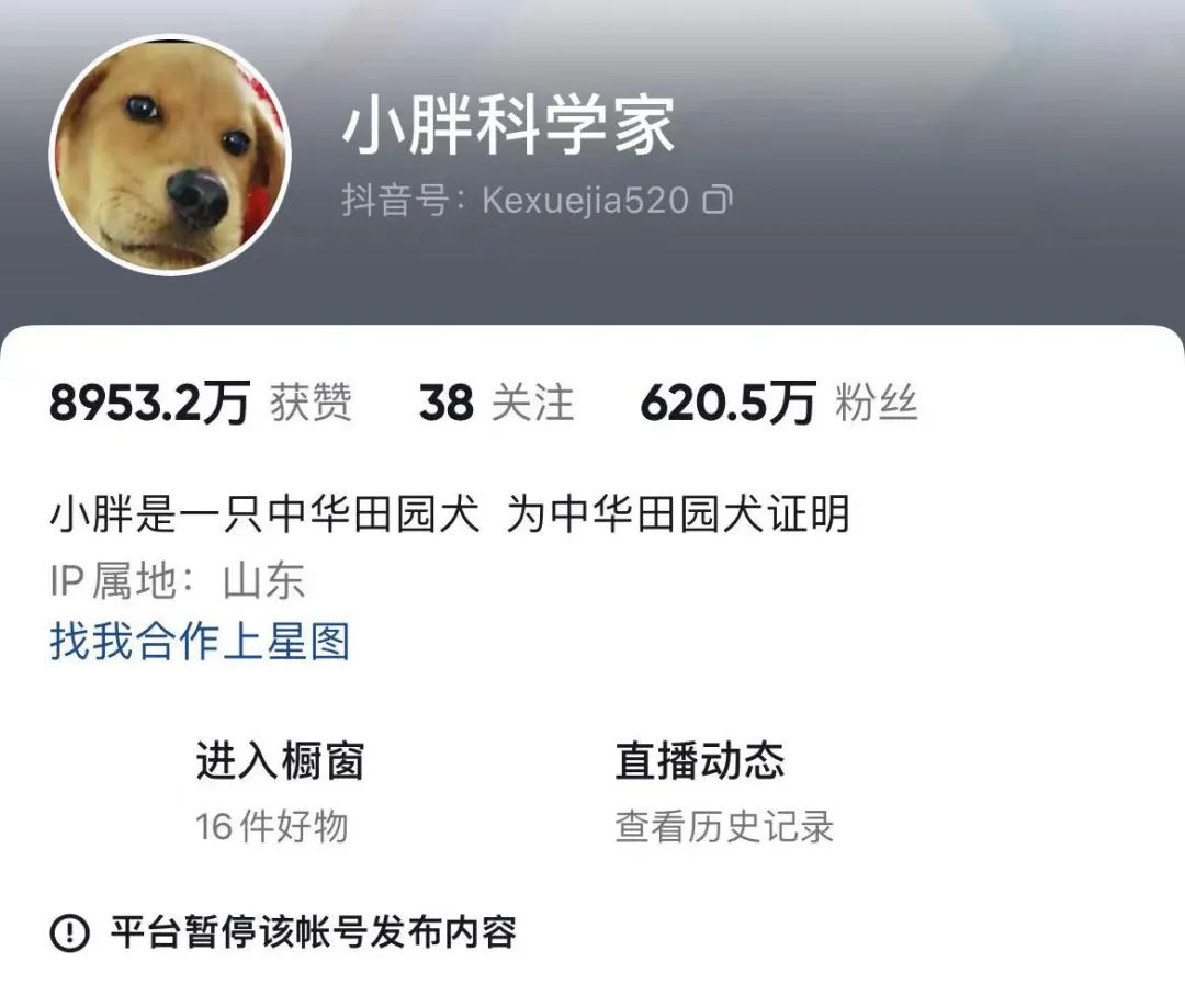 六百万网红想洗白反被封 他哭了狗笑了 网友 他活该 百科ta说