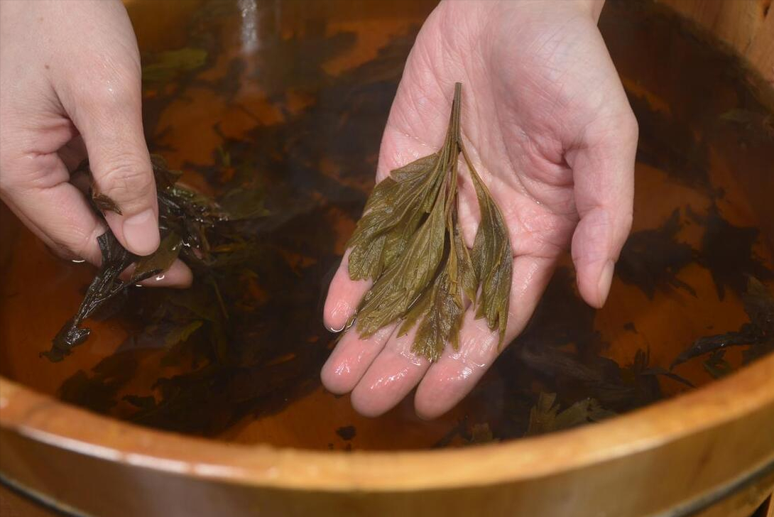 端午节如何养生?中医:艾草洗澡和佩戴中药香囊