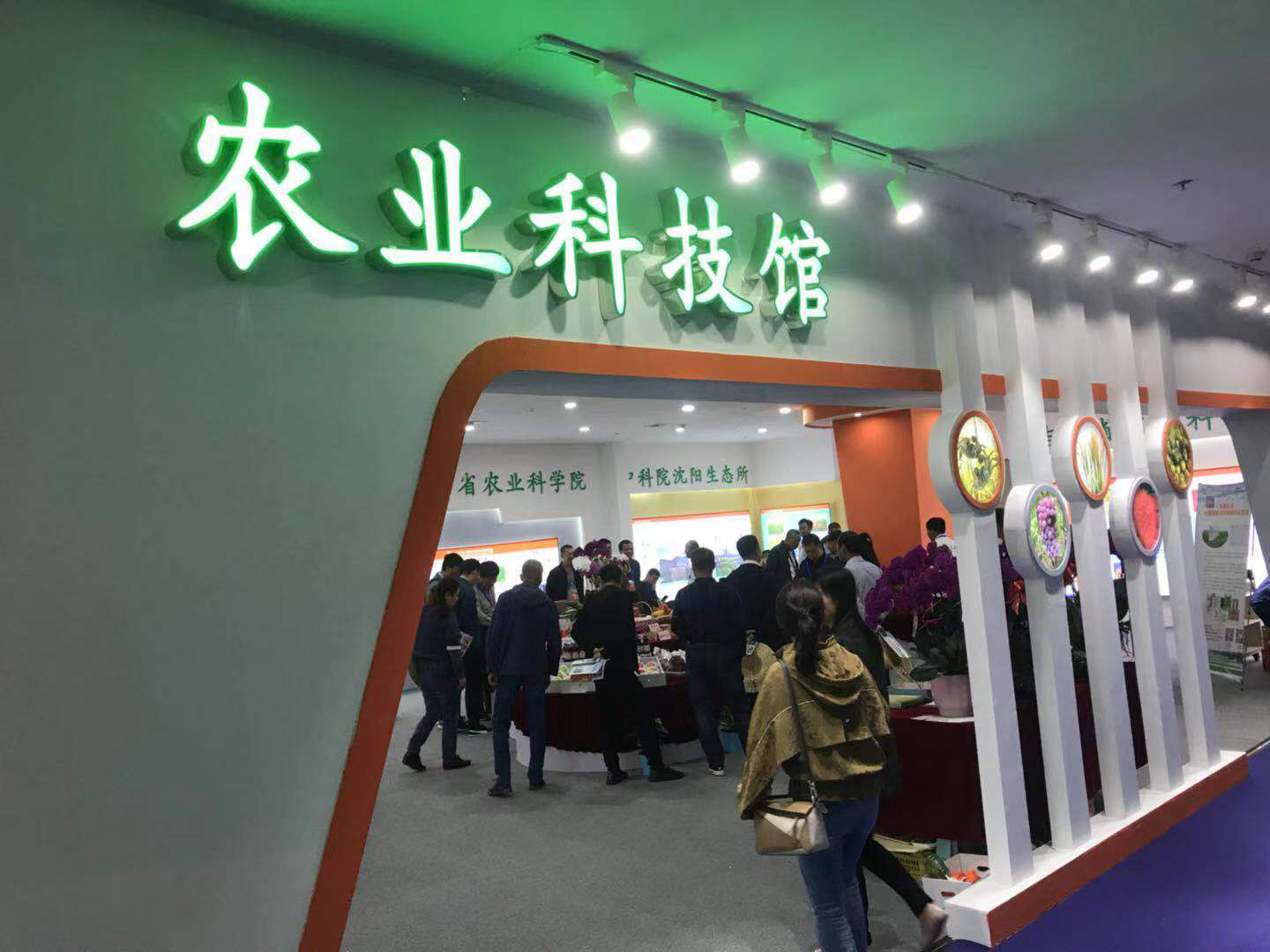 农村金融发展如何推动农业科技进步?