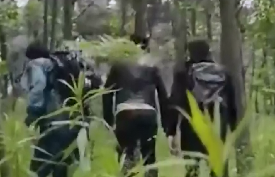 凌国梁(中国第一悍匪)