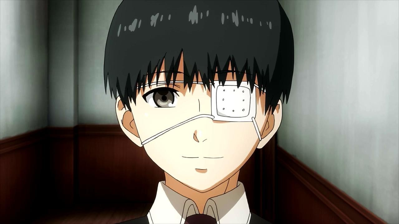 金木研为何加入青铜树?