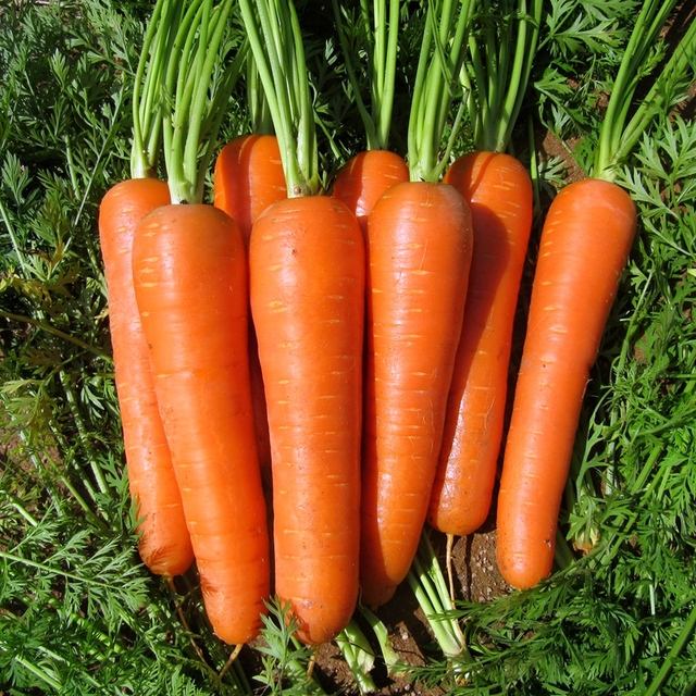 排尿很黄,异味很大是咋回事?或是身体给你的"暗示",要注意