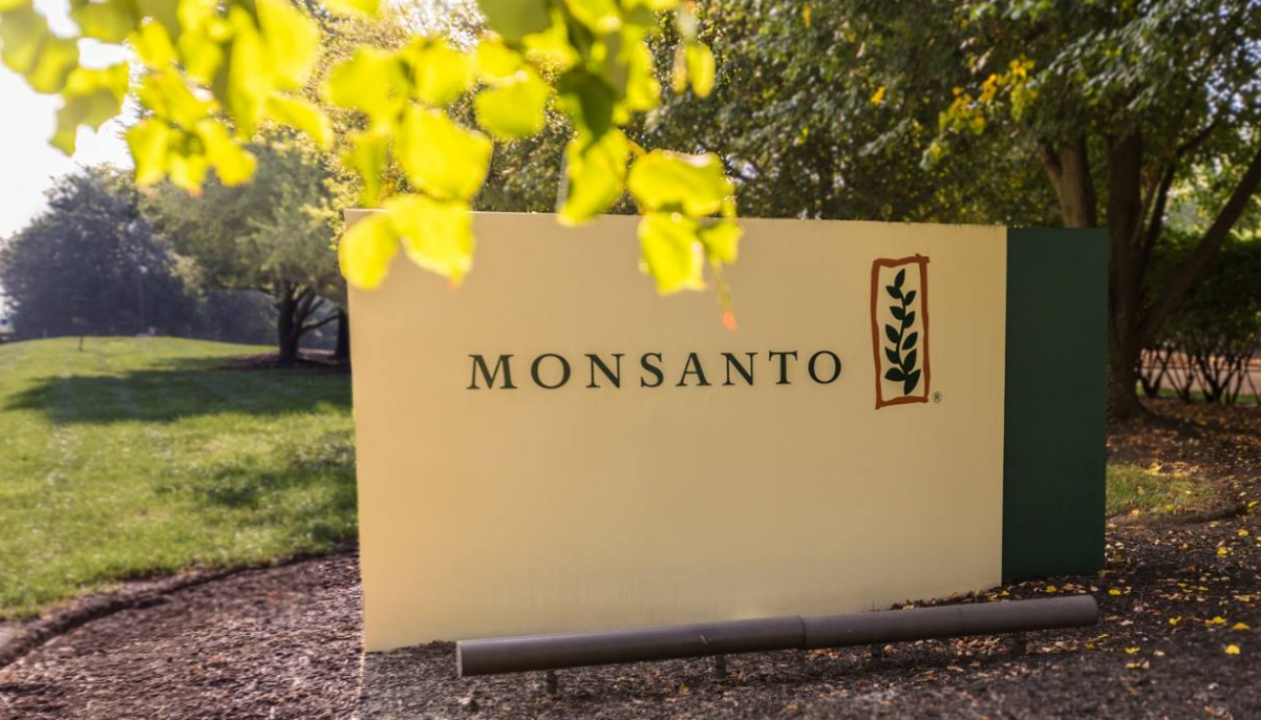 揭秘孟山都:转基因大豆背后的阴谋与悲剧