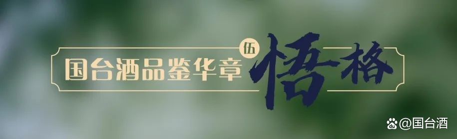 新澳门内部正版资料大全,国台酒品鉴华章｜美酒如诗，品味岁月的香醇