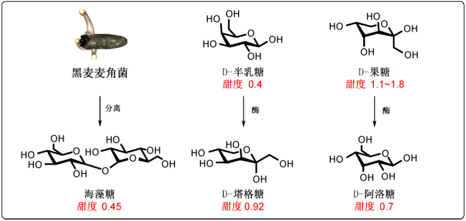 人们喜欢糖的甜味,可甜度最高的竟然不是糖?