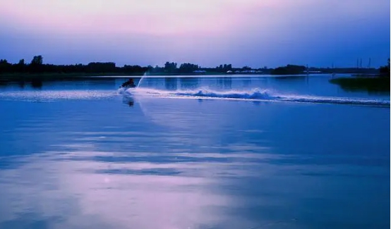 中牟雁鸣湖景区有白鹭天鹅等珍稀鸟类还有难得的湿地风景