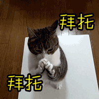 净网2020 注意了!"双十一"的骗子上架了