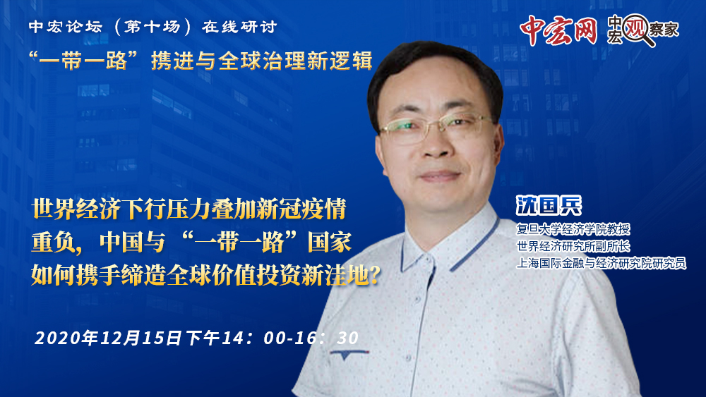 沈国兵:提升"一带一路"营商环境 积极参与全球经济治理变革