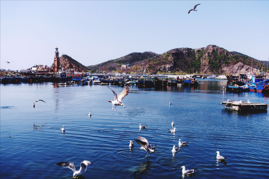 大连旅游必去的几个景点,冬暖夏凉门票便宜,你去过几个呢?