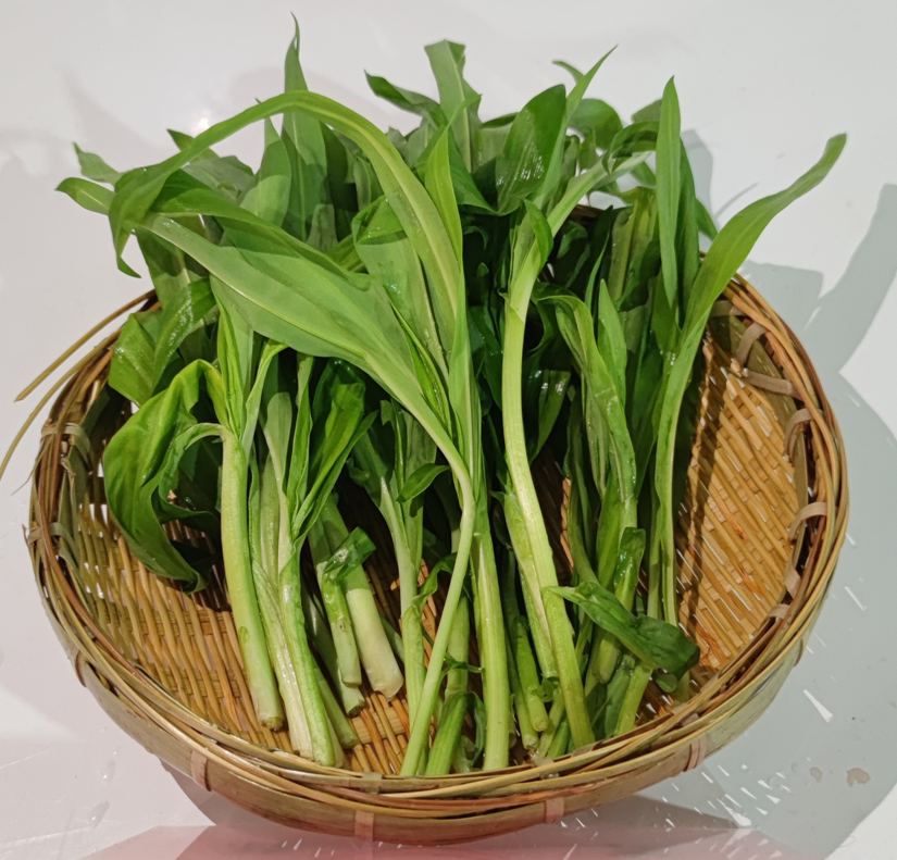 6.岩蒜豆芽花为山间野生植物,营养丰富.5.