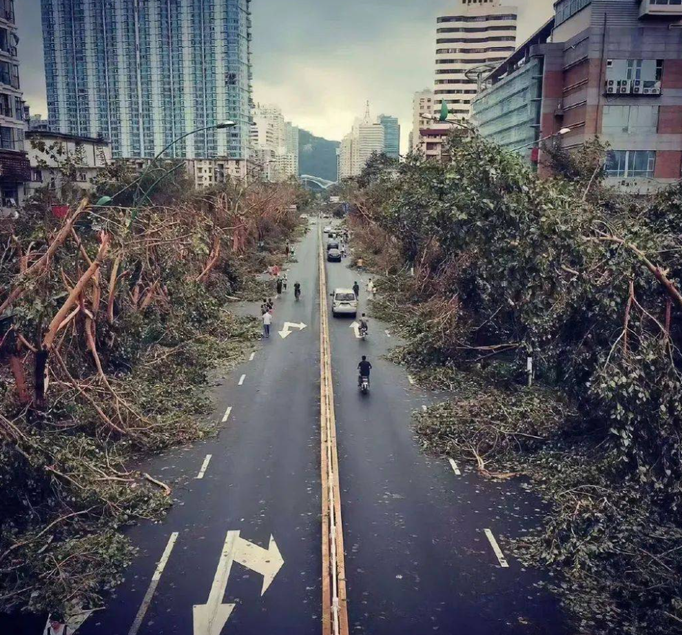 超强台风杜苏芮登陆福建,50米/秒吹的楼都在震,它咋这么强?