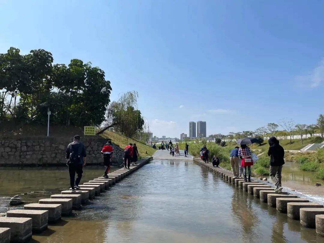 左岸科技 右岸河绿,在这里见证茅洲河之变