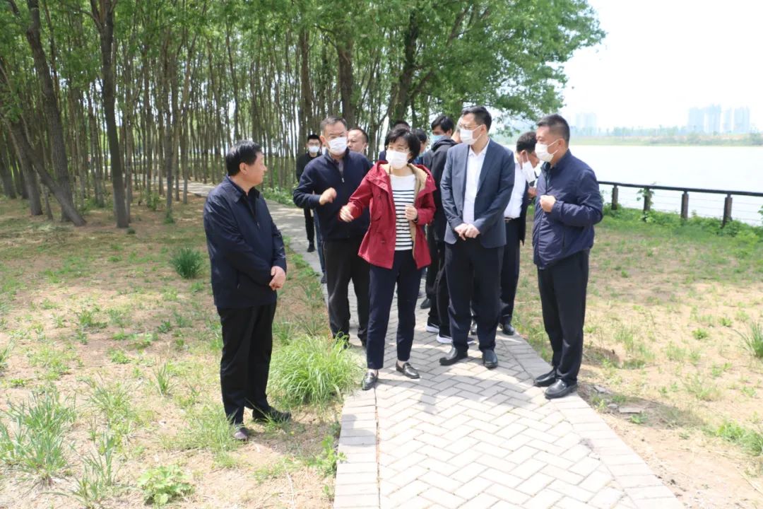 宫晓芳到太白湖区调研督导城市建设,管理工作