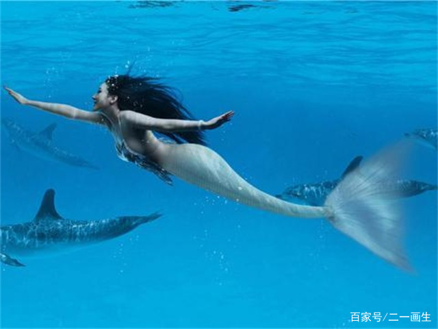 美人鱼的传说，奇异生物突现